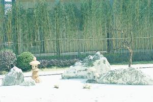 自然景观